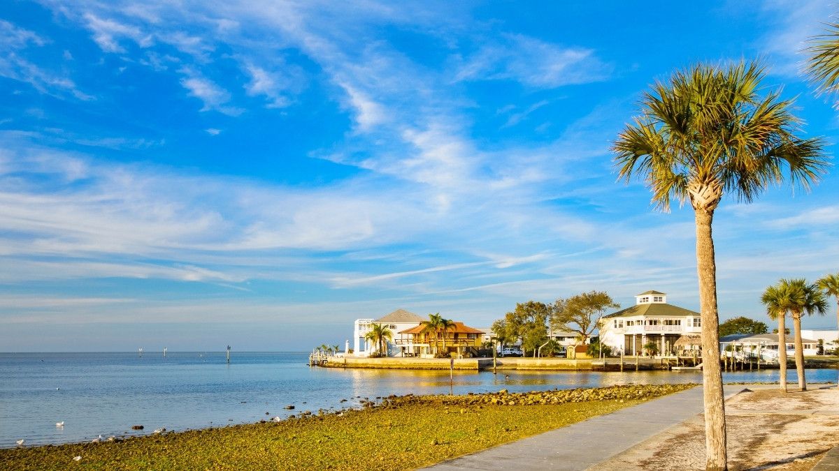 New Port Richey, FL