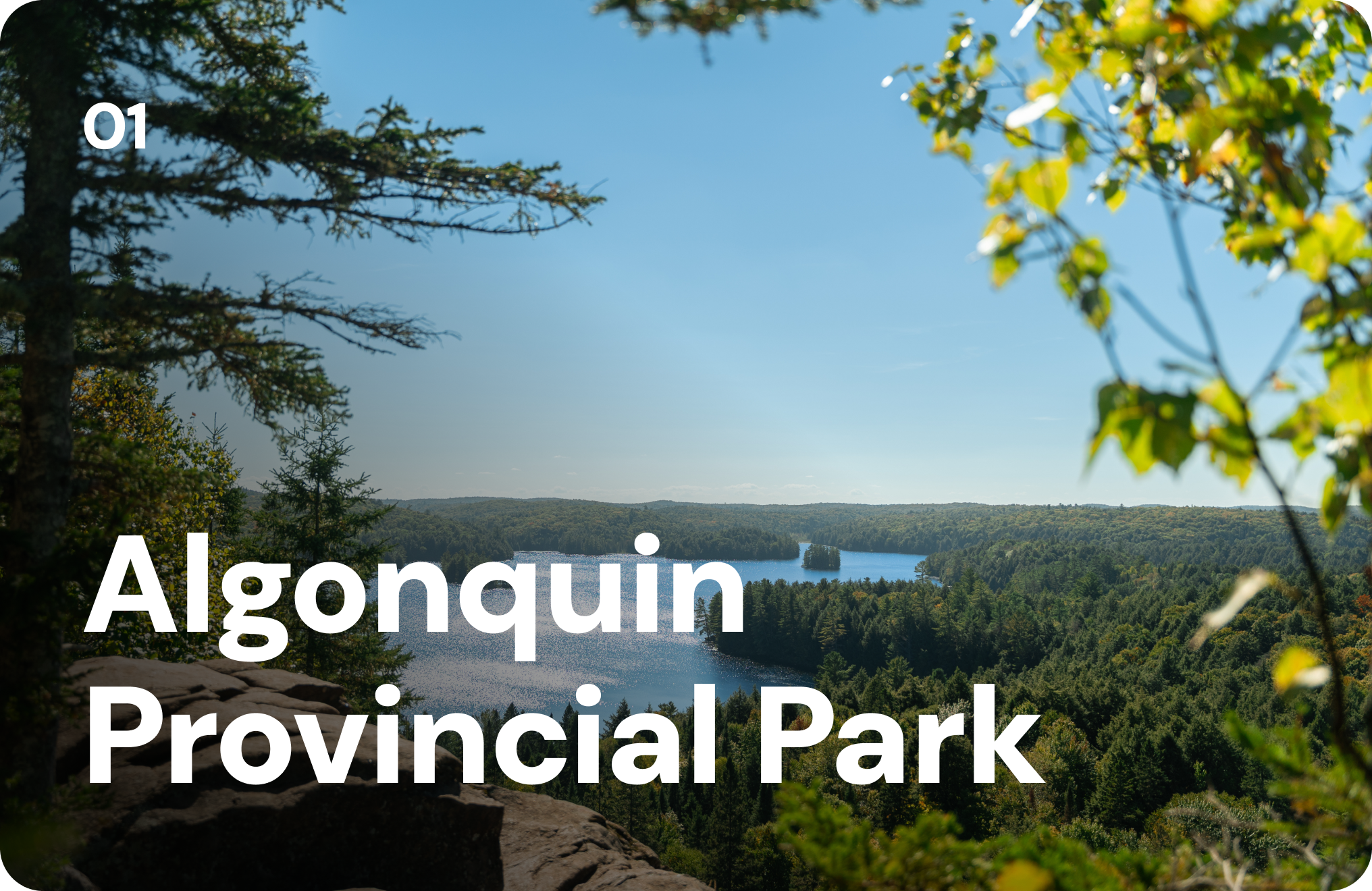 An elevated view of Algonquin Park looking down at a winding river surrounded by trees. 01 Algonquin Provincial Park