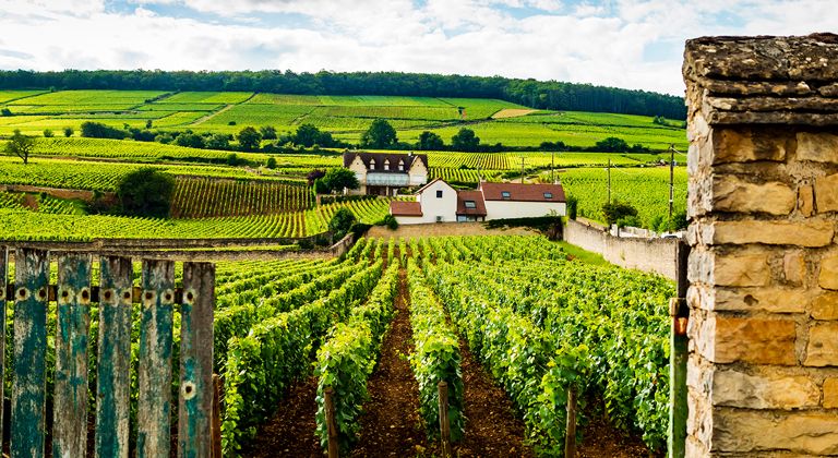 Location de voiture à Beaune