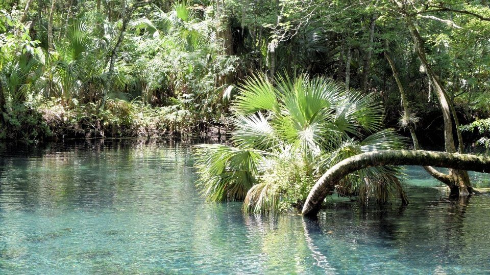 Silver Springs State Park
