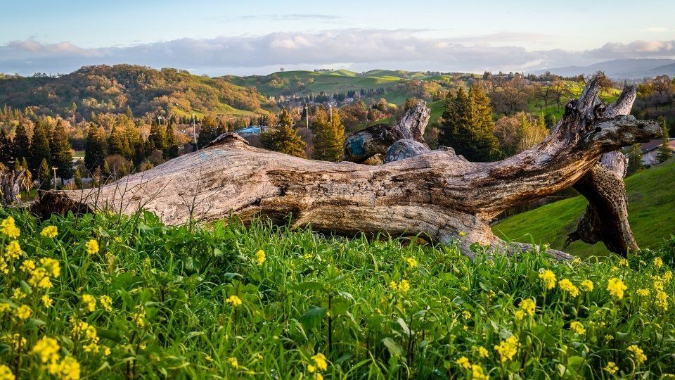 Mount Diablo State Park Walnut Creek, CA