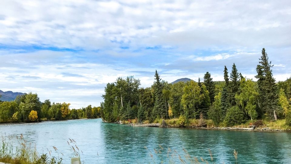 Russian River, Kenai