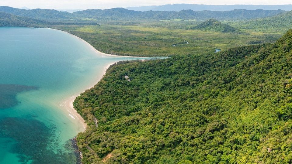Daintree Rainforest
