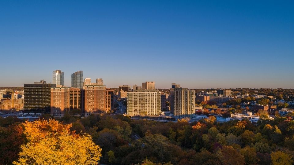 White Plains, NY