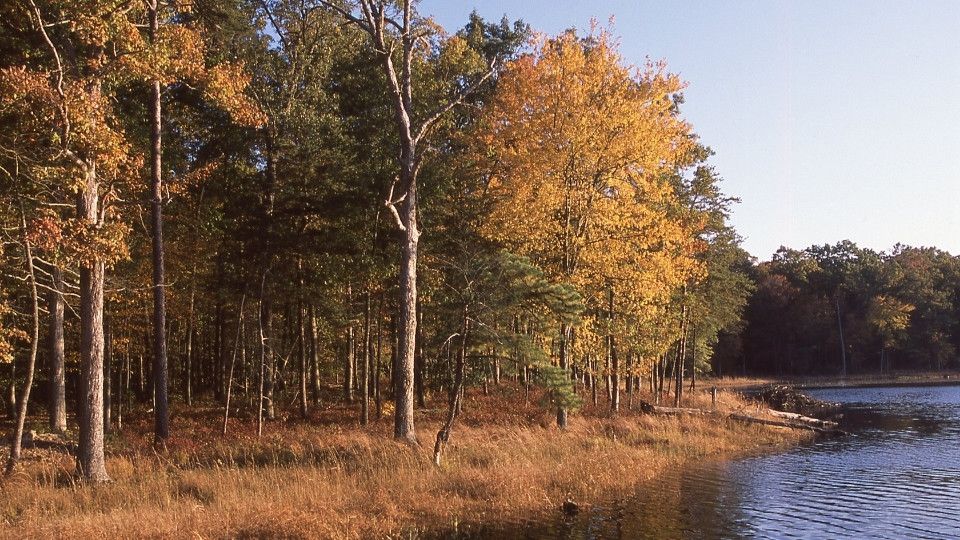 Patuxent Research Refuge, Laurel, MD