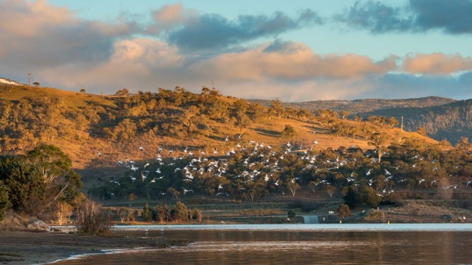 Jindabyne, NSW
