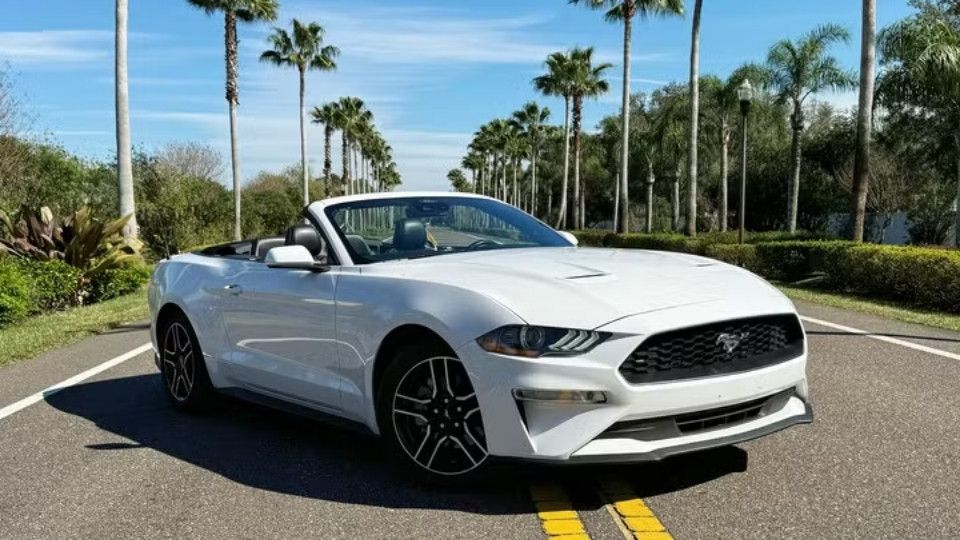 Ford Mustang rental Holiday, FL