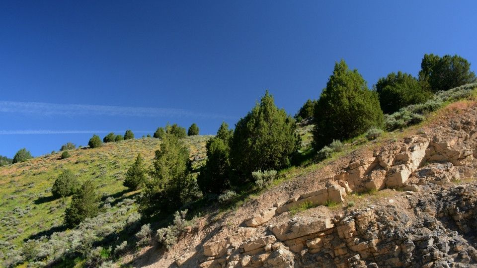 Logan Canyon Scenic Byway, Utah