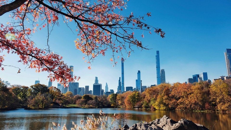 Central park, New York