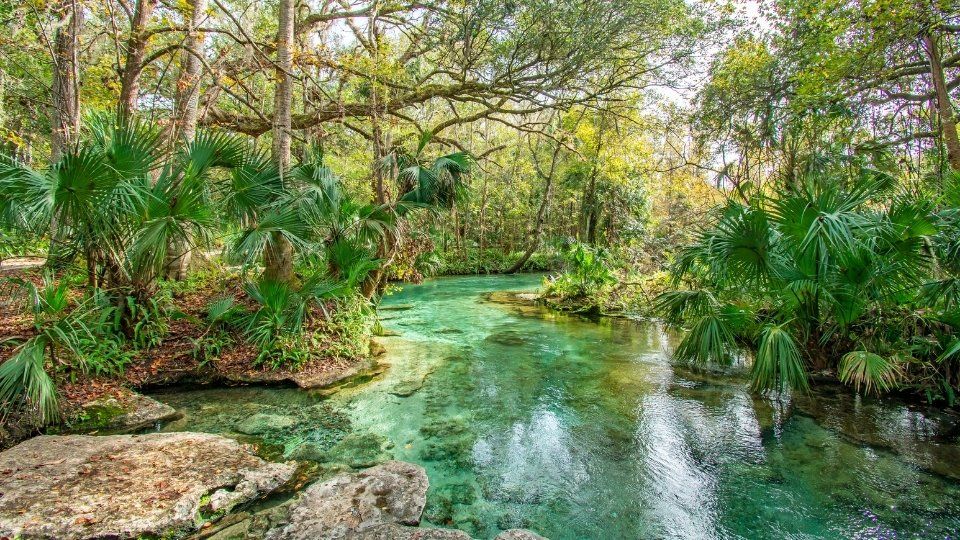 Kelly Park in Apopka, Florida