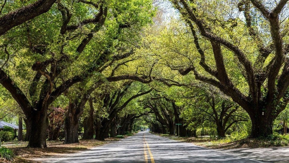 South Boundary Street, Aiken
