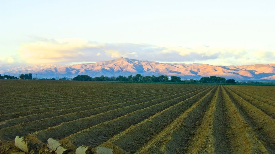 Salinas, CA