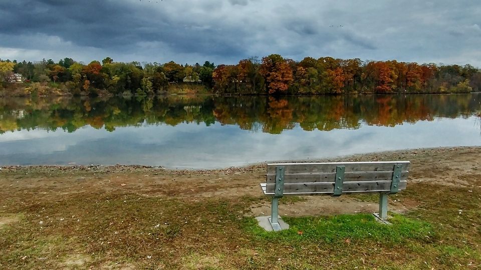 Schenectady, NY