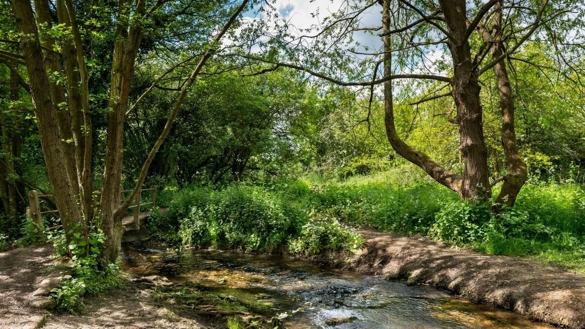 Braintree, UK