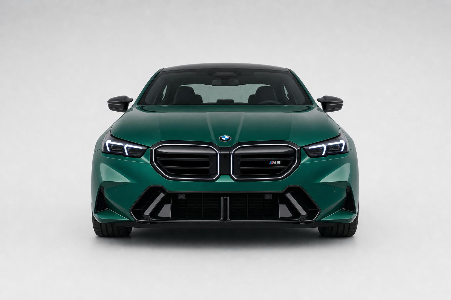 BMW M5 rental image