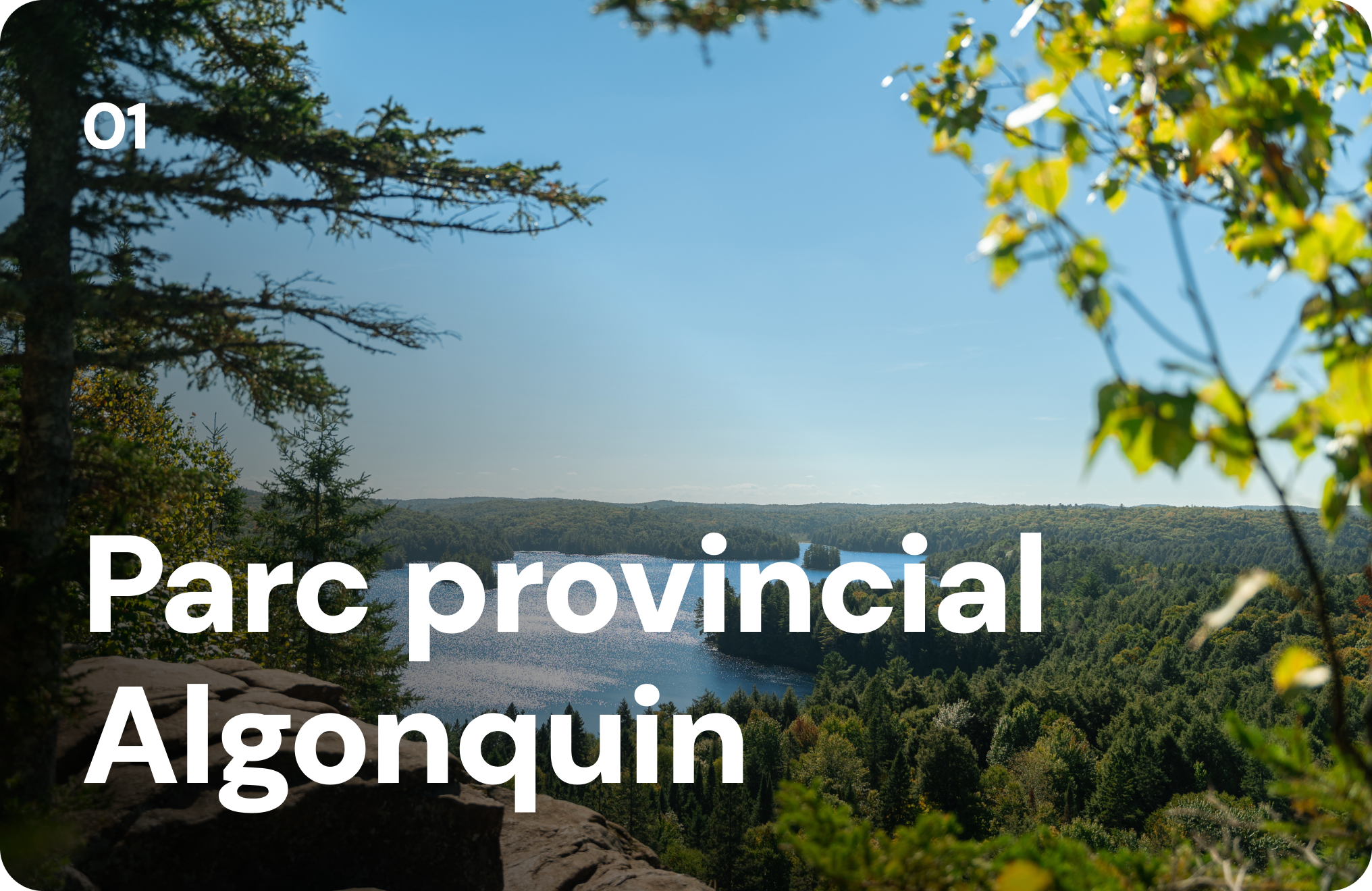 01 Parc provincial Algonquin