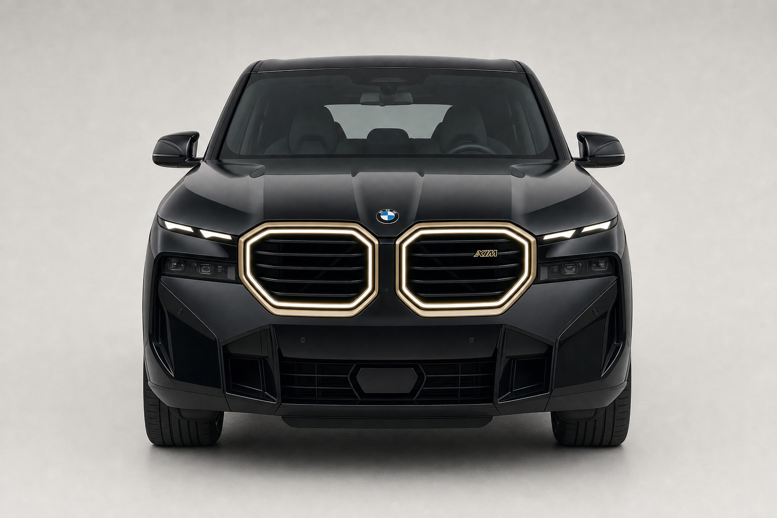 BMW XM rental image