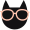 cat icon