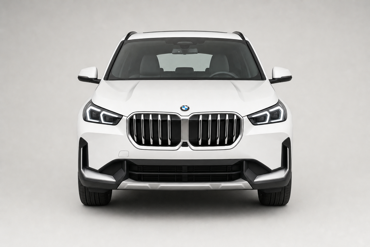 BMW X1 rental image