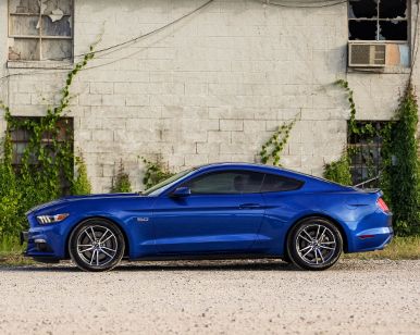 Ford rental alternatives