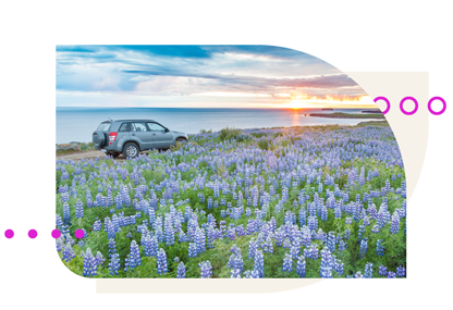 SUV reserved on Turo in a lavender field in southwest France