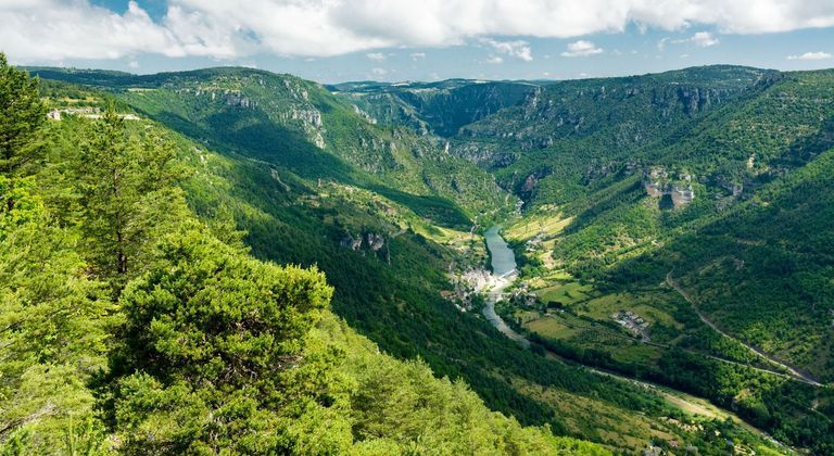 Aveyron