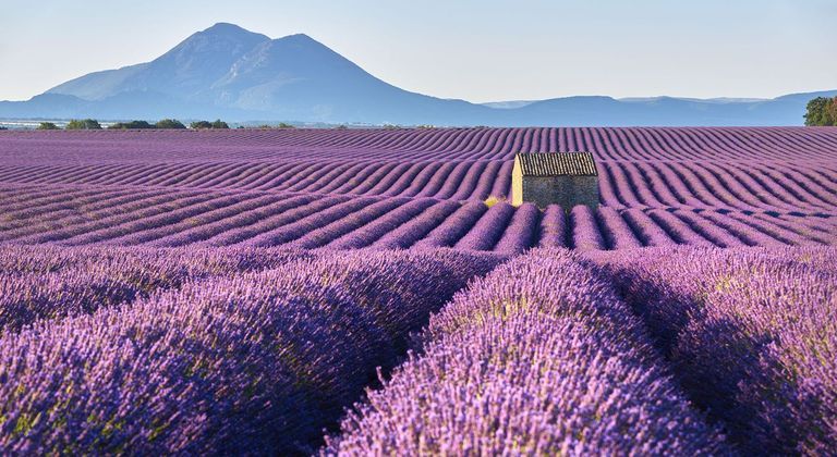 Alpes-de-Haute-Provence