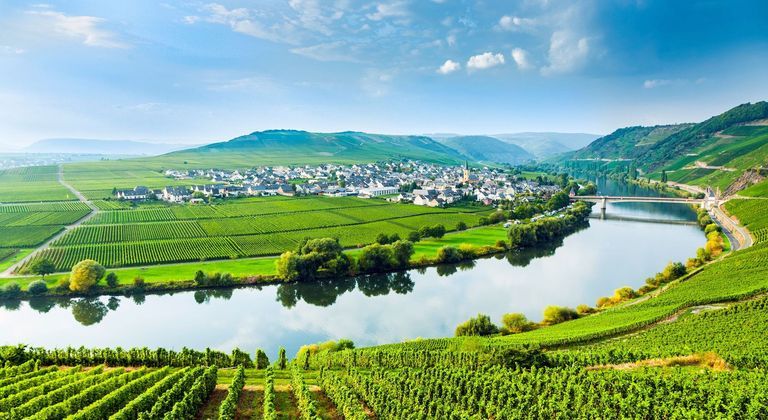 Moselle