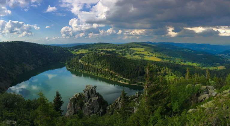Vosges