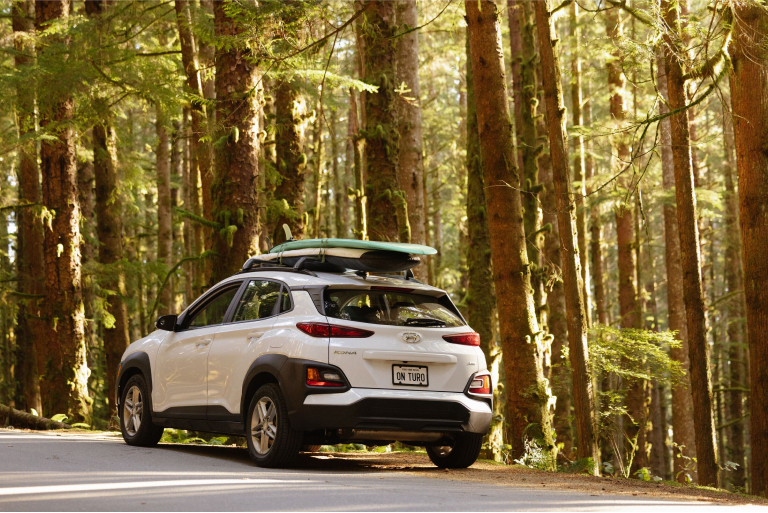 Vancouver to Tofino drive: The ultimate road trip guide