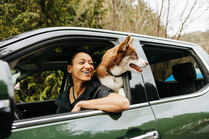 Woman and dog leaning out of a car window on a wooded road near Hamilton