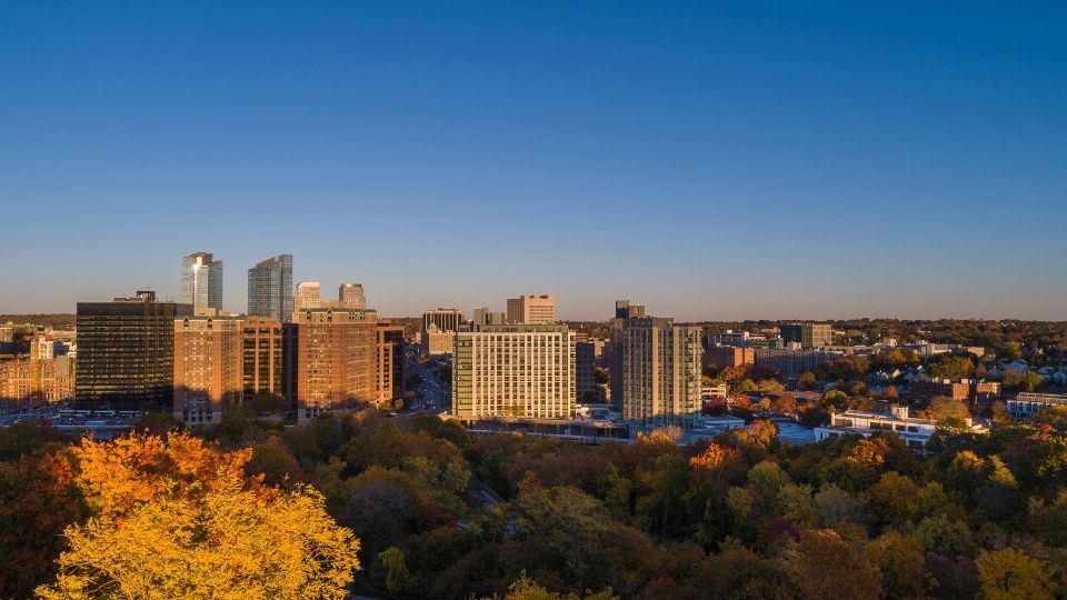 White Plains, NY