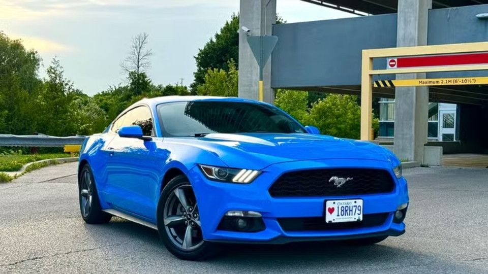 Ford Mustang Sports car rental in Peterborough on Turo