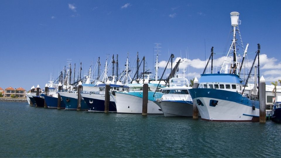 Boats lining the docs of Port Lincoln in South Australia