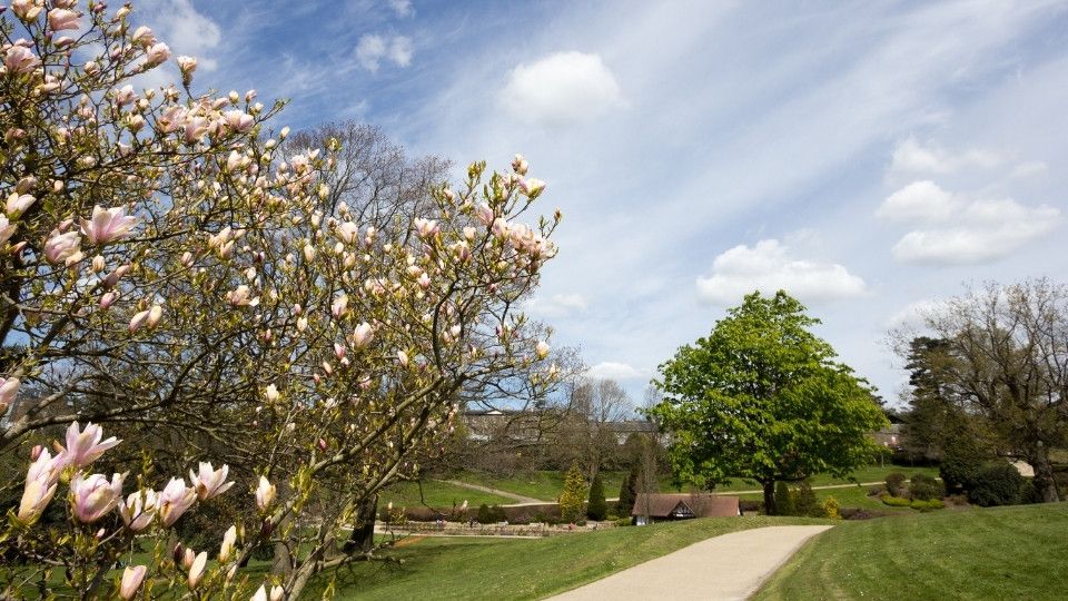 Royal Tunbridge Wells