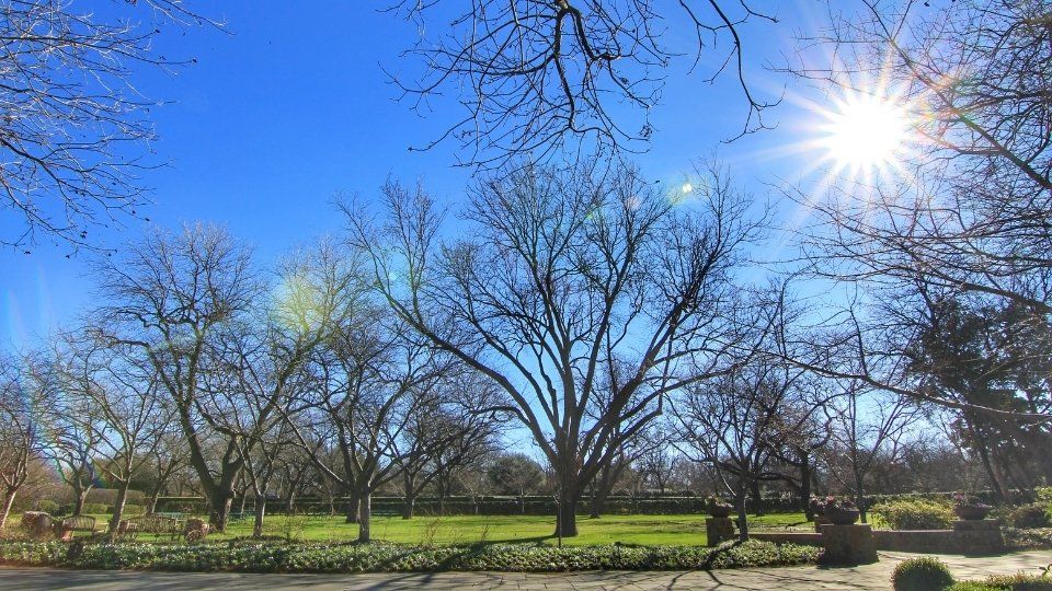 Dallas Arboretum and Botanical Gardens