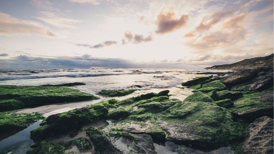 Burns Beach, near Joondalup