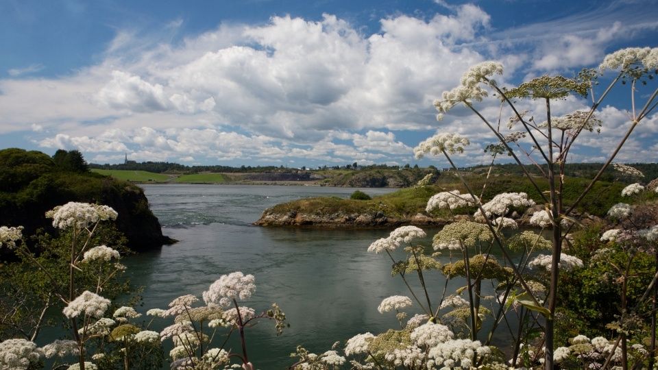 Saint John, NB