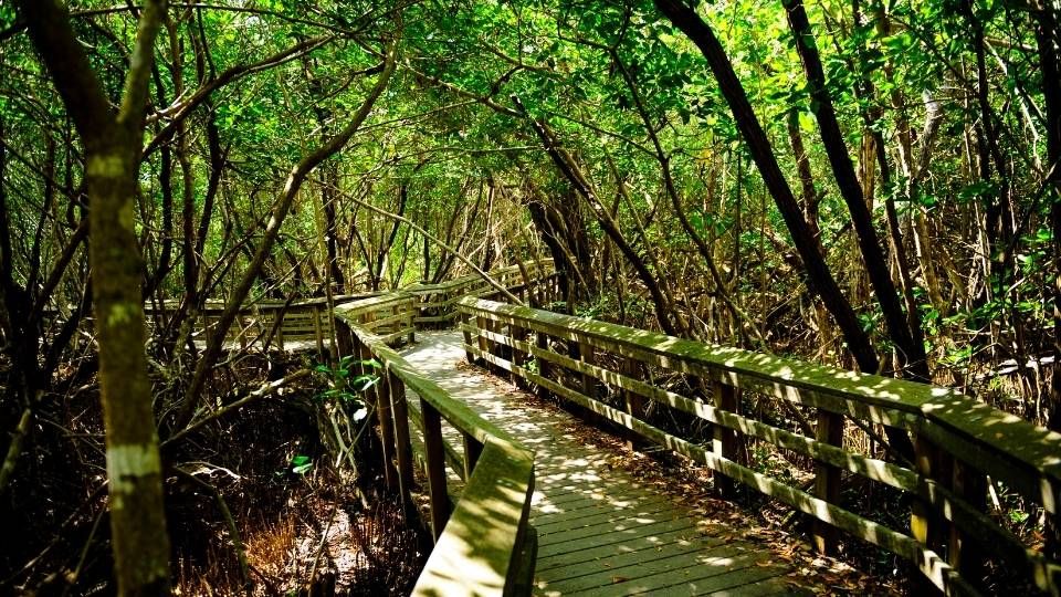 Everglades National Park, Florida