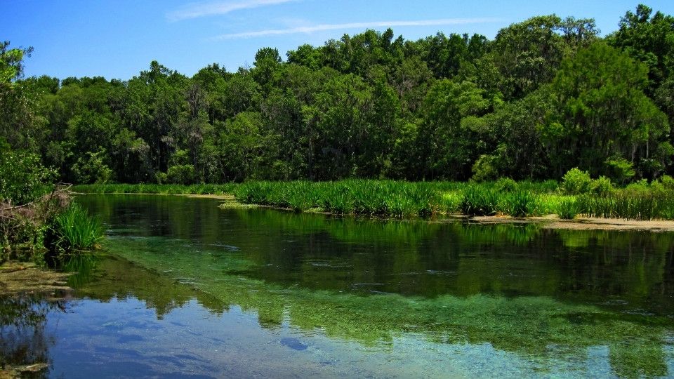 Ichetucknee Springs River, FL