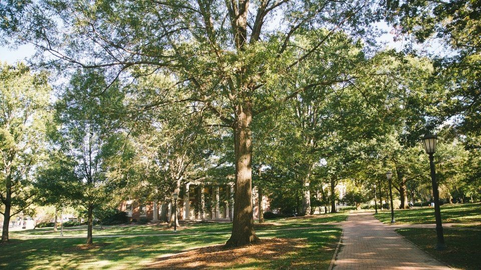 The University of North Carolina at Chapel Hill in the Fall