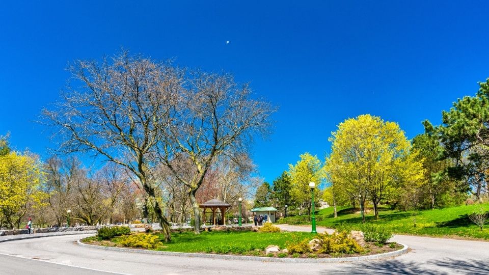 Niagara Falls State Park, NY