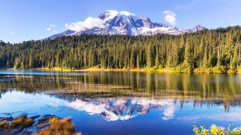 Mount Rainier National Park