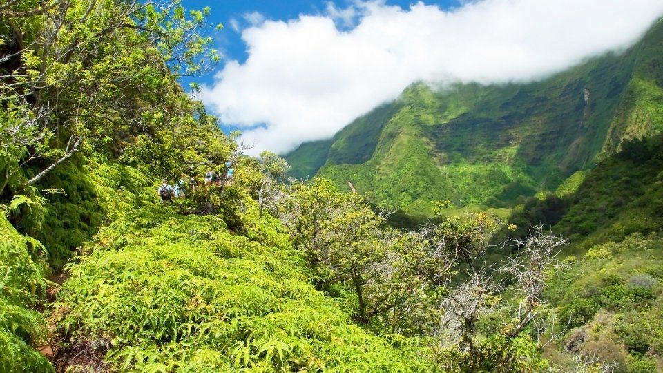 Iao Valley State Monument, HI