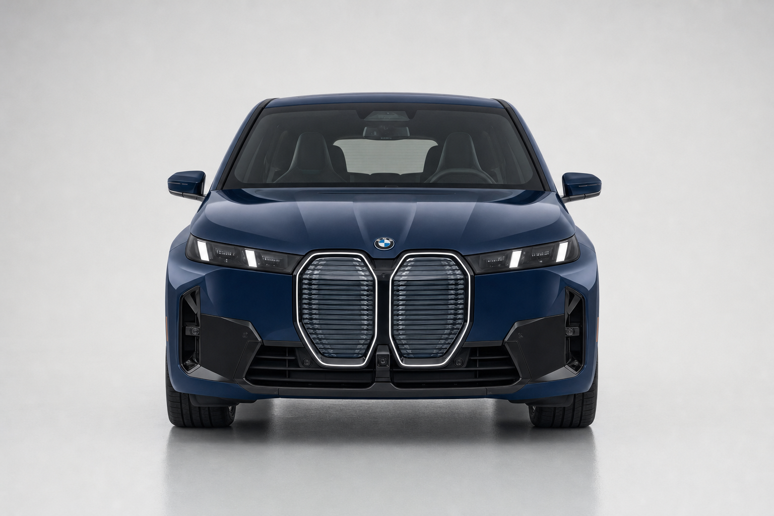 BMW iX rental image