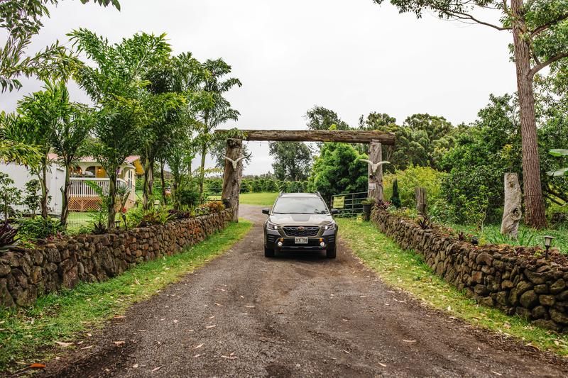 Subaru Forester rental image