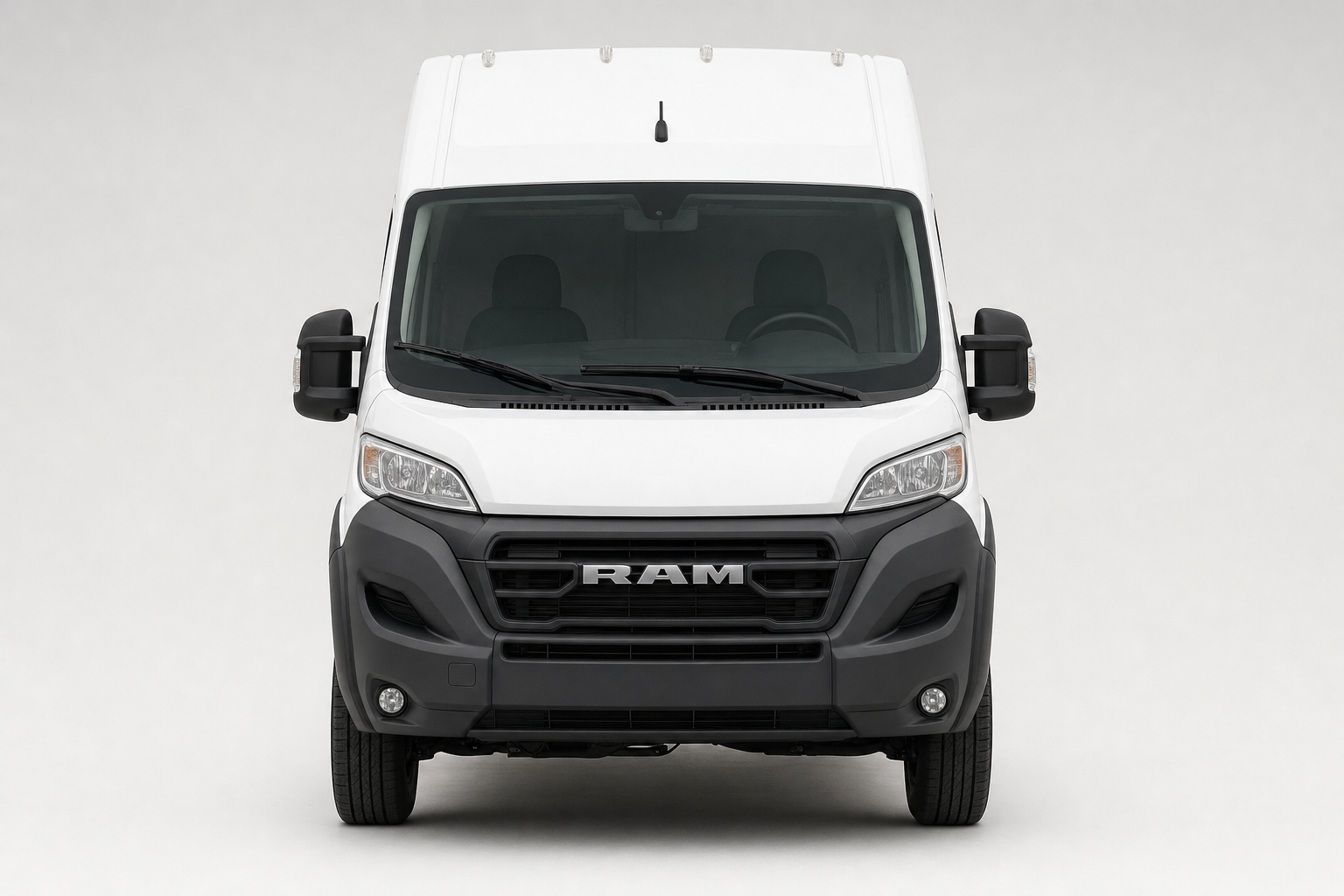 Ram ProMaster Cargo rental image