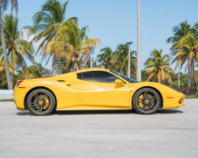 Exotic & luxury