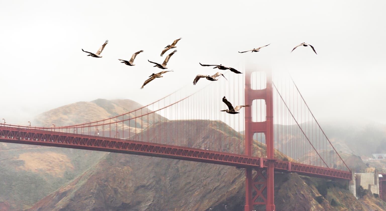 Car Rentals In San Francisco Ca Turo